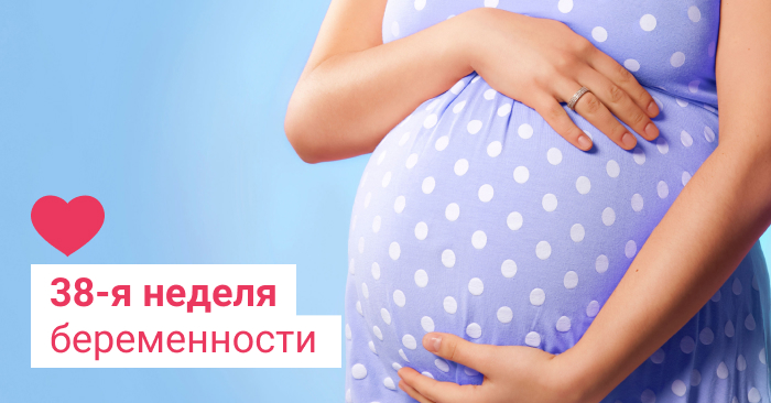 38 неделя беременности