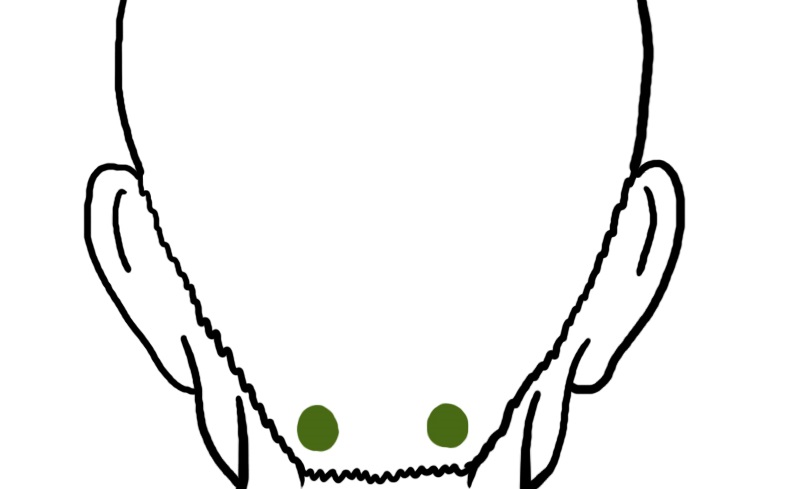 Точки тянь-чжу Как избавиться от головной боли за 5 минут: точки тянь-чжу