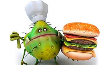 Рвет болит голова и болит желудок что это