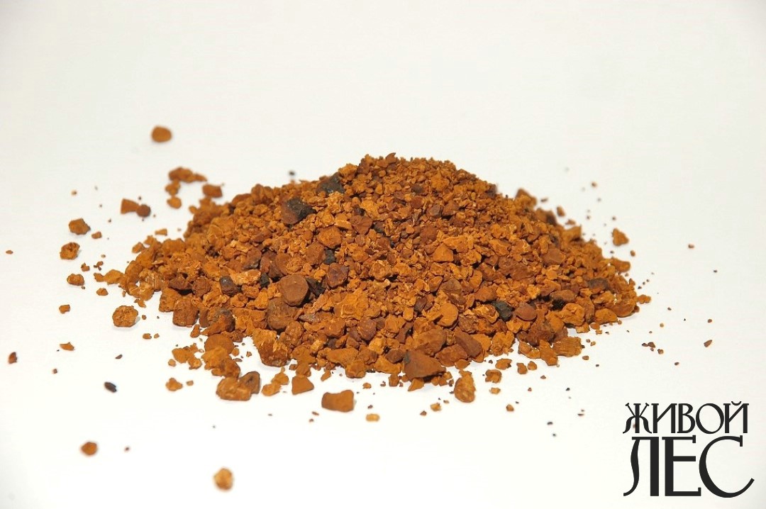 Чага подготовленная к завариванию