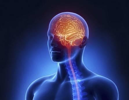 Если болит голова у мужчин