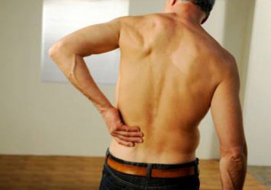 Болит спина и грудная клетка Болит спина и грудная клетка