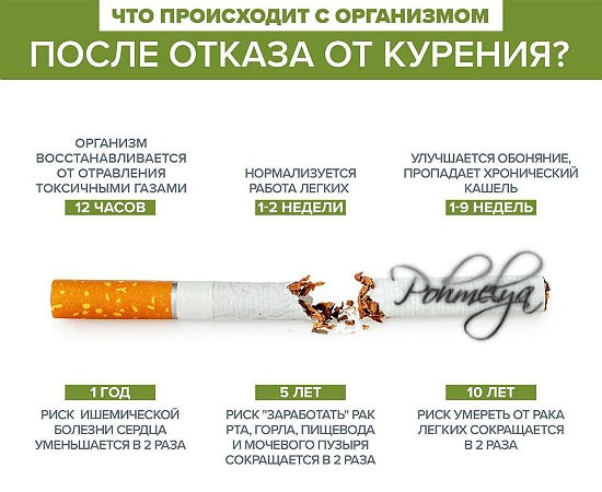 перекурила сигарет болит голова