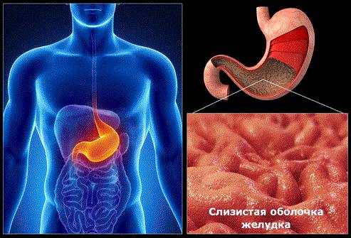 Отчего после еды болит спина