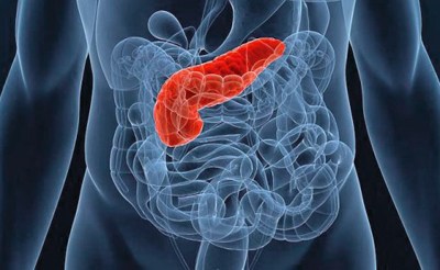 Болит спина сзади где ребра