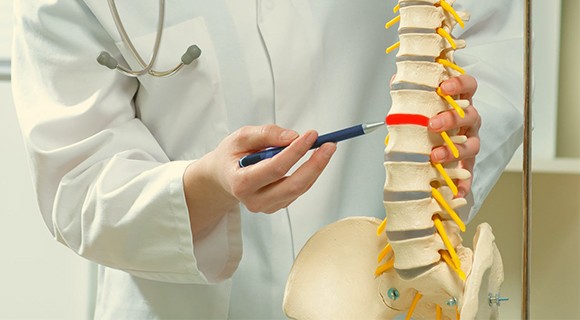 врач указывает на поврежденный отдел позвоночника