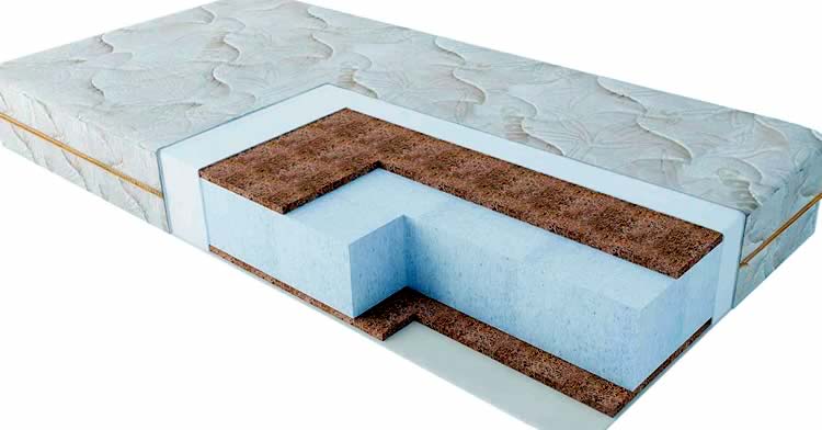 Струттофайбер и койра