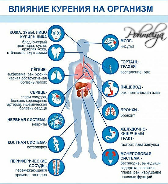 перекурила сигарет болит голова